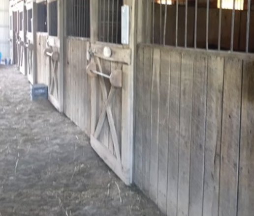 Mt Airy Horse Stables